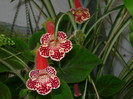 P1040124