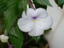 P1040143