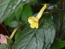 P1040149