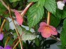 P1040150