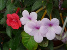 P1040153