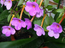 P1040155