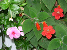P1040156