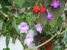 P1040157
