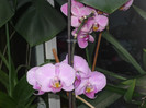 P1040163