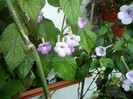 P1040170
