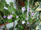 P1040171