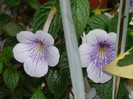 P1040172