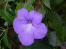 P1040173