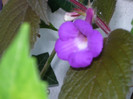 P1040175