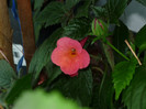 P1040177