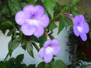 P1040186