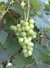 11072012 favorit