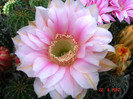 DSC00016
