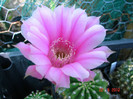 DSC00020