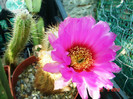 DSC00022