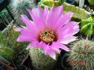 DSC00023
