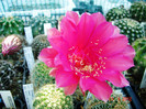 DSC00031