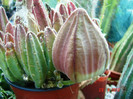 DSC00034