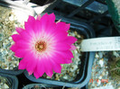 DSC00047