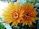 DSC00048