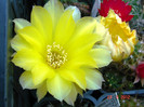 DSC00049