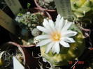DSC00051