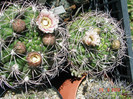 DSC00055