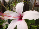 P1170747