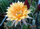 DSC00147