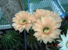 DSC00148