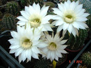DSC00149