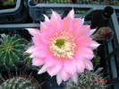 DSC00151