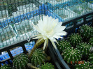 DSC00153