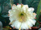 DSC00158