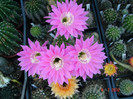 DSC00160
