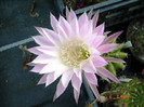 DSC00166