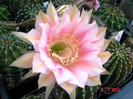 DSC00171