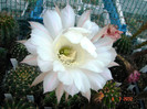 DSC00172