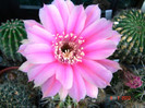 DSC00175