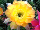 DSC00177