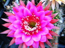 DSC00180