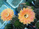 DSC00181