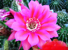 DSC00187