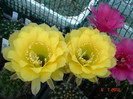 DSC00189