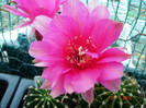 DSC00190