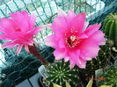 DSC00191
