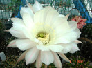 DSC00193