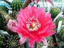 DSC00195