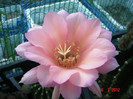 DSC00201